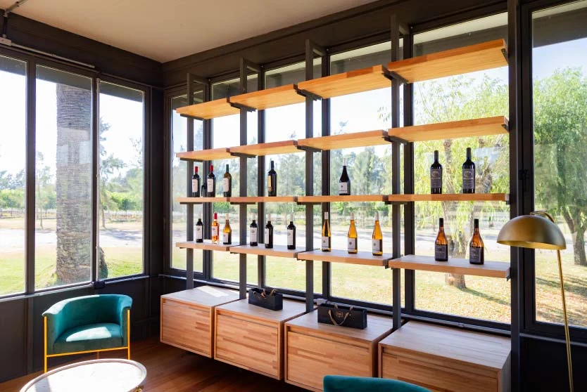Boutique de vinos premium en Bodega Los Cerros de San Juan Uruguay, cava moderna con estanterías de diseño y vistas al viñedo